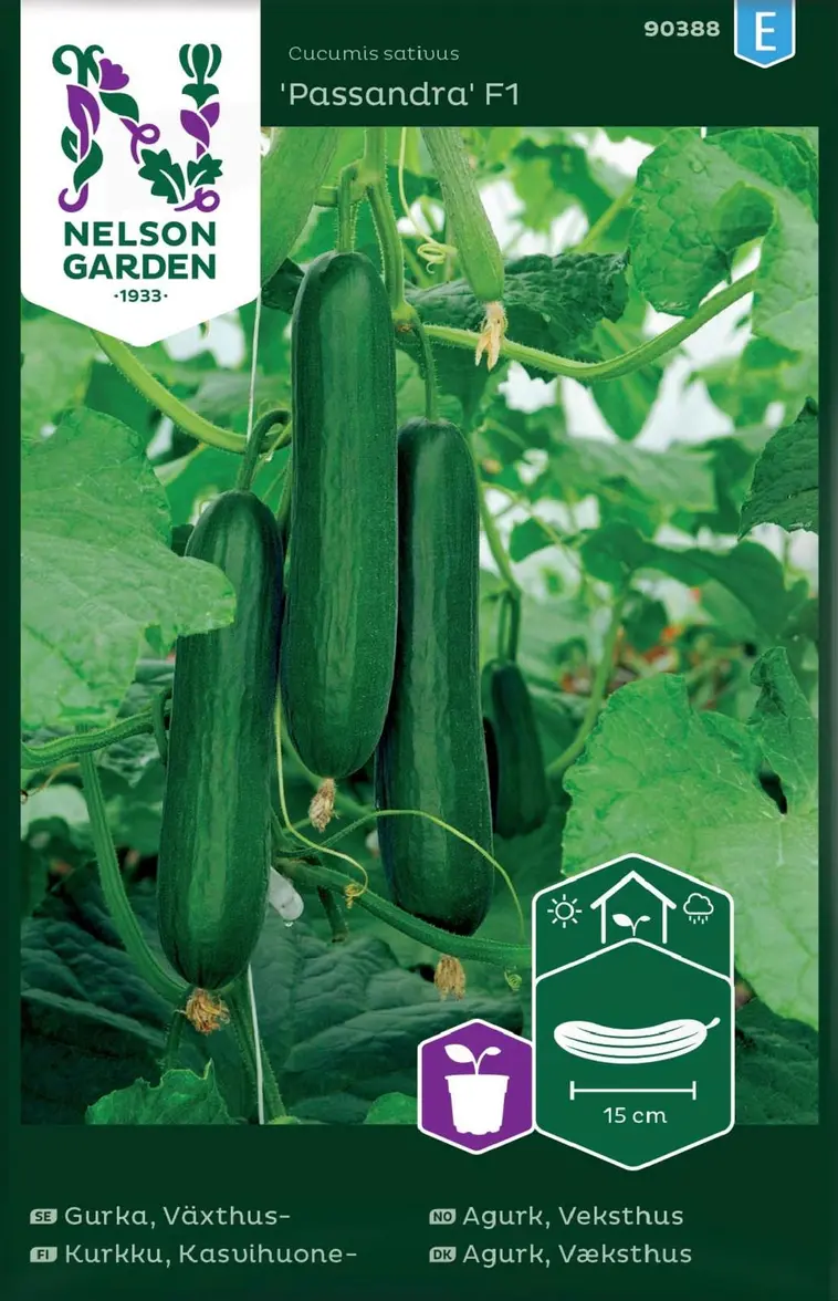 Nelson Garden Siemen Kurkku, Kasvihuone-, Passandra F1 3 Nelson Garden Siemen Kurkku, Kasvihuone-, Passandra F1