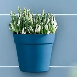 Unbranded Set Of 2 Plastic Wall Planter Pots For Indoor Outdoor Garden Balcony Cream White Blue -Piha myymälä 718222790 max