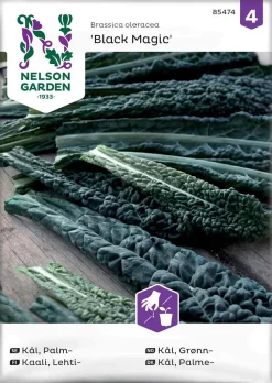 Nelson Garden Siemen Kaali, Lehti-, Black Magic