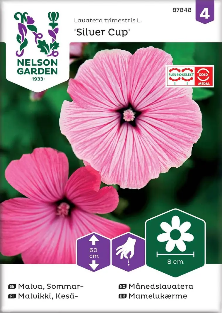 Nelson Garden Siemen Malvikki, Kesä-, Silver Cup 3 Nelson Garden Siemen Malvikki, Kesä-, Silver Cup
