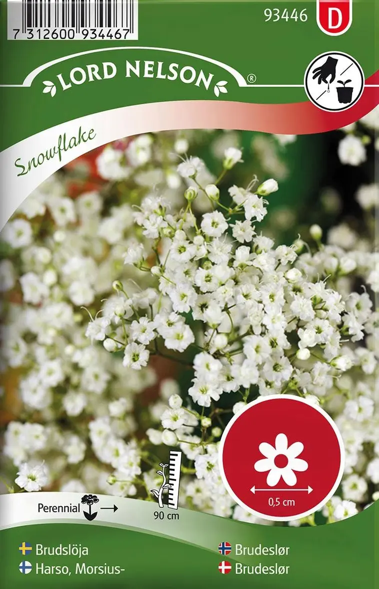 Nelson Garden Siemen Harso, Morsius-, Snowflake 3 Nelson Garden Siemen Harso, Morsius-, Snowflake