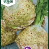 Nelson Garden Siemen Selleri, Mukula-, Mars 1 Nelson Garden Siemen Selleri, Mukula-, Mars -Piha myymälä 7YzQN4KK4 G8vuQ9ta2ImR