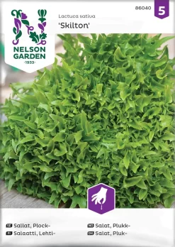 Nelson Garden Siemen Tammenlehtisalaatti Skilton