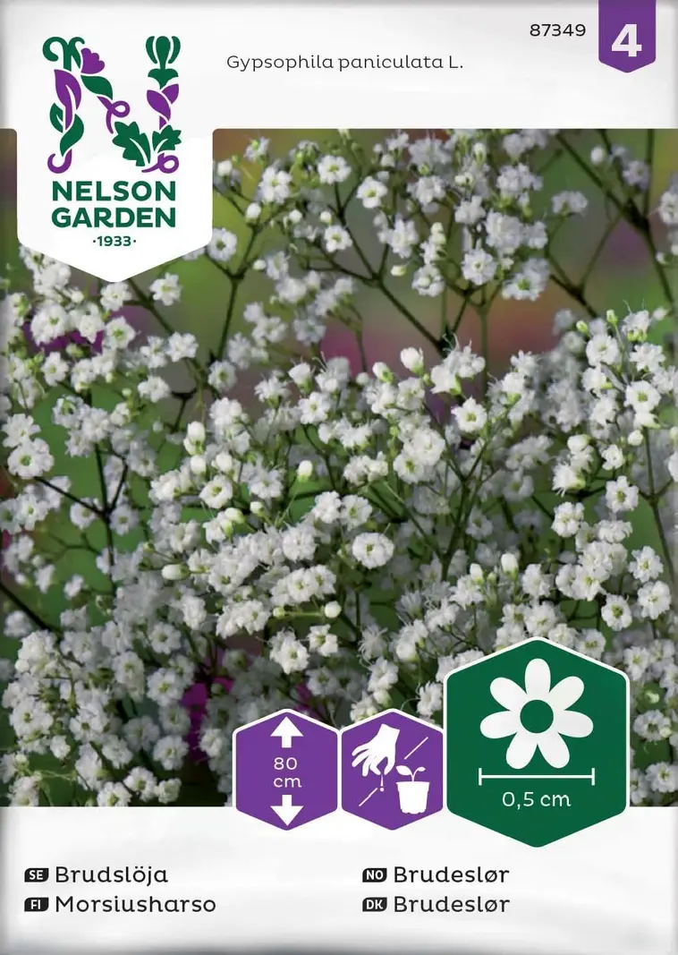 Nelson Garden Siemen Harso, Morsius- 3 Nelson Garden Siemen Harso, Morsius-