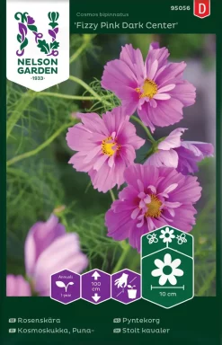 Nelson Garden Siemen Punakosmoskukka Fizzy Pink Dark Center