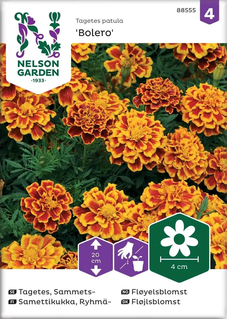 Nelson Garden Siemen Samettikukka, Ryhmä-, Bolero 3 Nelson Garden Siemen Samettikukka, Ryhmä-, Bolero