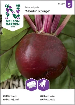 Nelson Garden Siemen Punajuuri, Moulin Rouge, Kylvönau