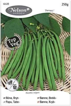 Nelson Garden Siemen Papu, Taite-, Ferrari 250 G