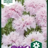 Nelson Garden Siemen Unikko, Lilac Pompom 2 Nelson Garden Siemen Unikko, Lilac Pompom -Piha myymälä 8XQht2HNa4MA oJ qWZaxB