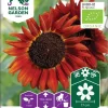 Nelson Garden Siemen Auringonkukka Velvet Queen, Luomu 2 Nelson Garden Siemen Auringonkukka Velvet Queen, Luomu -Piha myymälä 8lXfcwgRqqo9ch7JjWrTYn