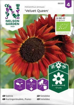 Nelson Garden Siemen Auringonkukka Velvet Queen, Luomu