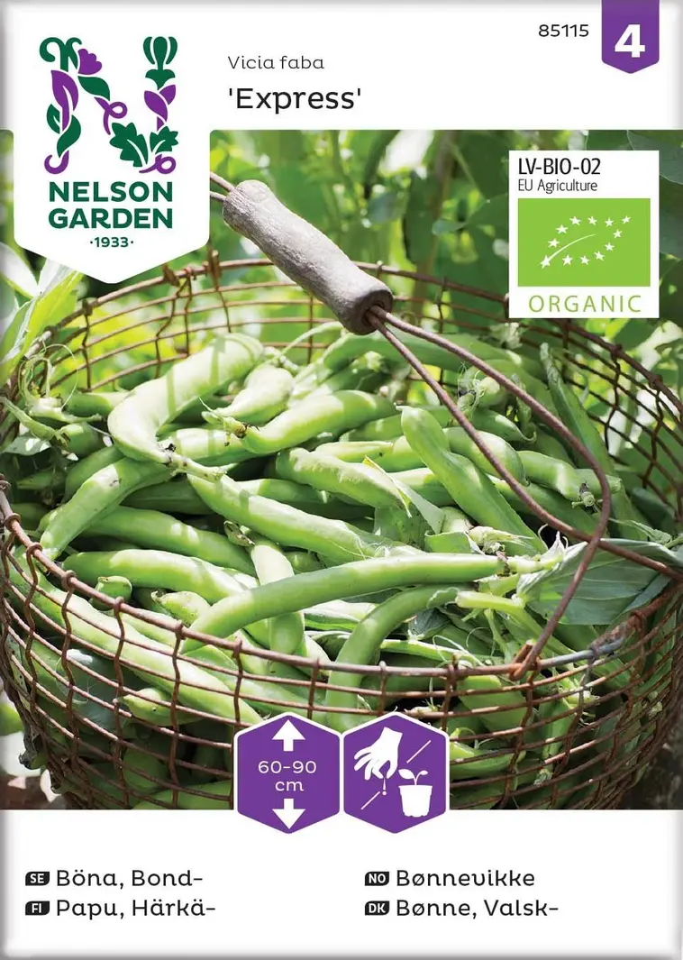 Nelson Garden Siemen Papu, Härkä-, Express, Luomu 3 Nelson Garden Siemen Papu, Härkä-, Express, Luomu