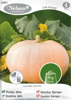 Nelson Garden Siemen Kurpitsa, Jätti-, Gele Reuzen