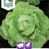Nelson Garden Siemen Salaatti, Kerä-, Hilde II, Kylvönauha