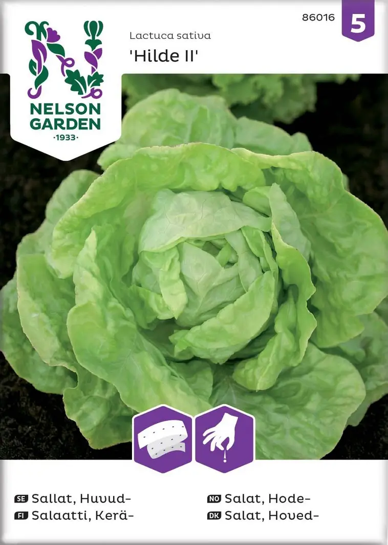 Nelson Garden Siemen Salaatti, Kerä-, Hilde II, Kylvönauha 3 Nelson Garden Siemen Salaatti, Kerä-, Hilde II, Kylvönauha