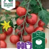 Nelson Garden Siemen Tomaatti, Kirsikka-, Gardener´s Delight 2 Nelson Garden Siemen Tomaatti, Kirsikka-, Gardener´s Delight -Piha myymälä 9C lNpTWKZ1A187ilL1ad9