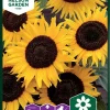 Nelson Garden Siemen Auringonkukka, Iso-, Ikarus 1 Nelson Garden Siemen Auringonkukka, Iso-, Ikarus -Piha myymälä 9Dnp LILaimB nuuup6eHU