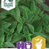 Nelson Garden Siemen Basilika, Sitruuna-, Lemon Scent -Piha myymälä 9JmPhaE KhE9a3v0wQtJcP