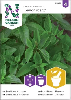 Nelson Garden Siemen Basilika, Sitruuna-, Lemon Scent