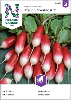 Nelson Garden Siemen Retiisi, French Breakfast 3