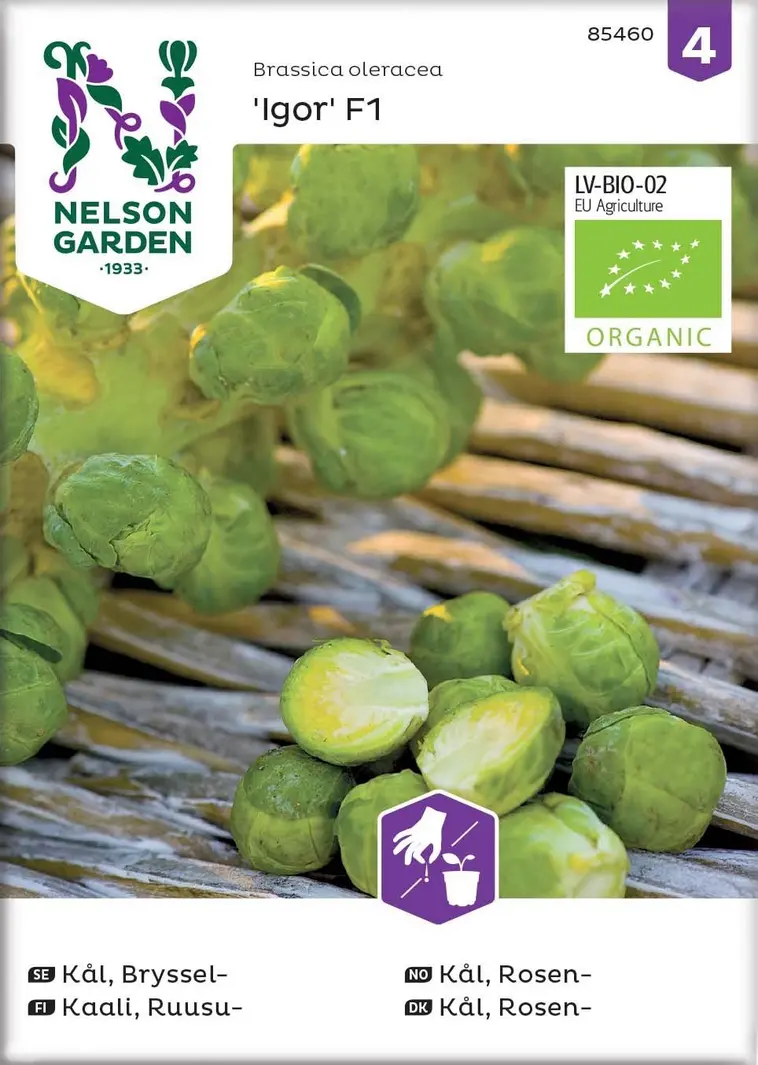 Nelson Garden Siemen Kaali, Ruusu-, Igor F1, Luomu 3 Nelson Garden Siemen Kaali, Ruusu-, Igor F1, Luomu