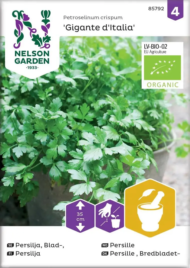 Nelson Garden Siemen Persilja, Sileäleht. Giga.d'Italia, Luomu 3 Nelson Garden Siemen Persilja, Sileäleht. Giga.d'Italia, Luomu