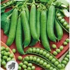 Nelson Garden Siemen Herne, Silpo-, Kelvedon Wonder 1 Kg