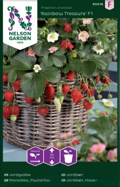 Nelson Garden Siemen Mansikka, Puutarha-, Rainbow Treasure F1