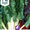 Nelson Garden Siemen Mangoldi, Lehti-, White Silver 2 1 Nelson Garden Siemen Mangoldi, Lehti-, White Silver 2 -Piha myymälä 9sA08tdVa7AAUPvyQ4D2hY