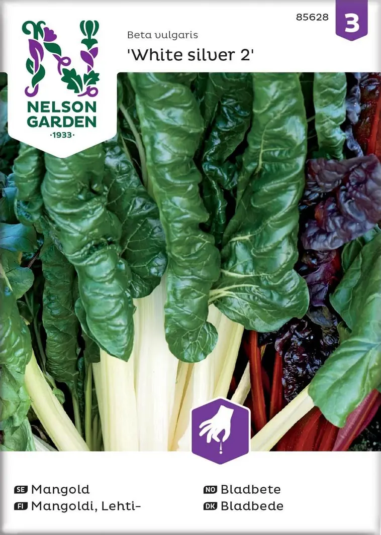 Nelson Garden Siemen Mangoldi, Lehti-, White Silver 2 3 Nelson Garden Siemen Mangoldi, Lehti-, White Silver 2