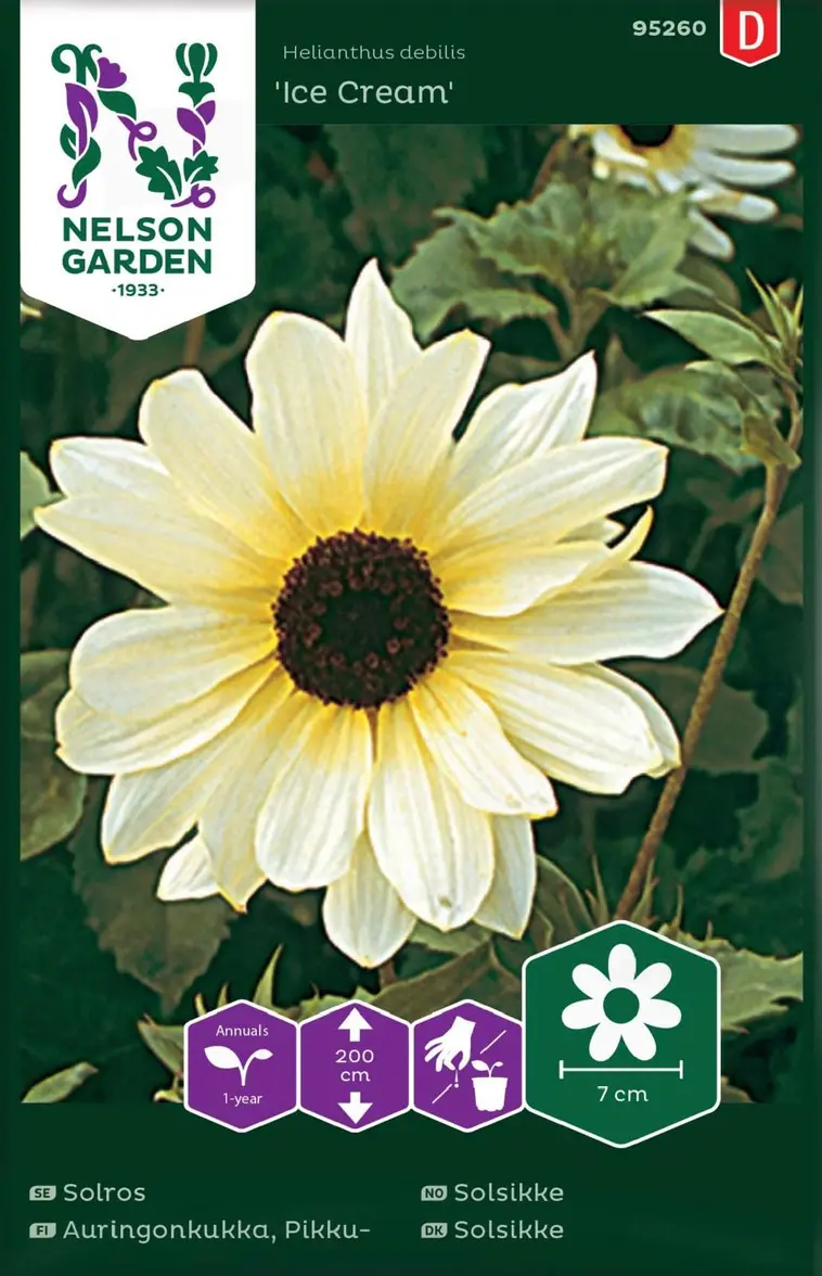 Nelson Garden Siemen Auringonkukka, Pikku-, Ice Cream 3 Nelson Garden Siemen Auringonkukka, Pikku-, Ice Cream