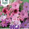 Nelson Garden Siemen Seos, Roosanvärisiä Kesäkukkia 1 Nelson Garden Siemen Seos, Roosanvärisiä Kesäkukkia -Piha myymälä AEoHJ4ezanm9nEyVRF6Nnb