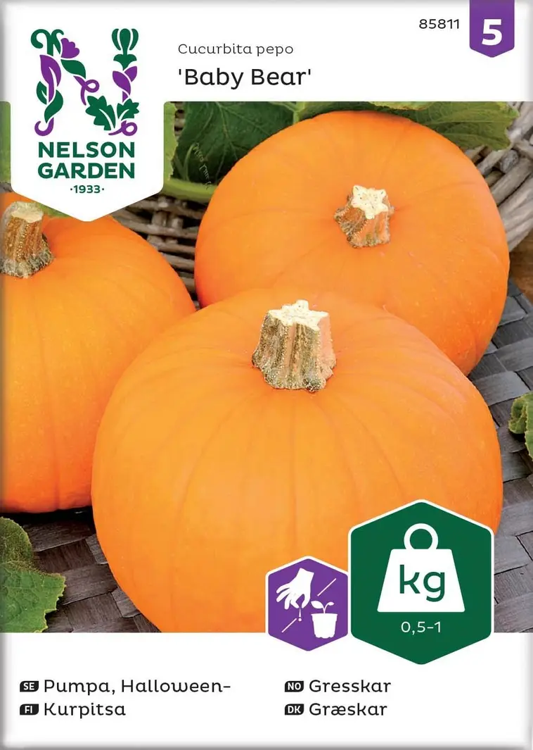 Nelson Garden Siemen Kurpitsa, Baby Bear 3 Nelson Garden Siemen Kurpitsa, Baby Bear