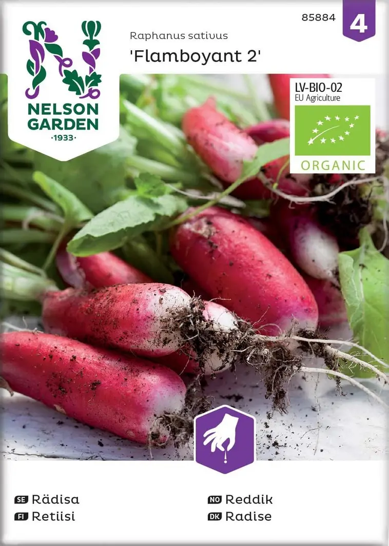 Nelson Garden Siemen Retiisi, Flamboyant 2, Luomu 3 Nelson Garden Siemen Retiisi, Flamboyant 2, Luomu