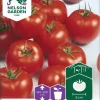 Nelson Garden Siemen Tomaatti, Shirley F1 1 Nelson Garden Siemen Tomaatti, Shirley F1 -Piha myymälä Abd30idx4Ju94hwd07dUhY