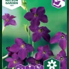 Nelson Garden Siemen Tupakka, Koriste-, Perfume Deep Purple -Piha myymälä Af 5YE2yqWJ9WdbhR6g5He