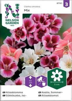 Nelson Garden Siemen Silkkikukka, Iso-, Väriseos