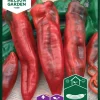 Nelson Garden Siemen Paprika, Vihannes-, Thor F1 -Piha myymälä AxRBiQPqaEU95Y7BMMOkRc