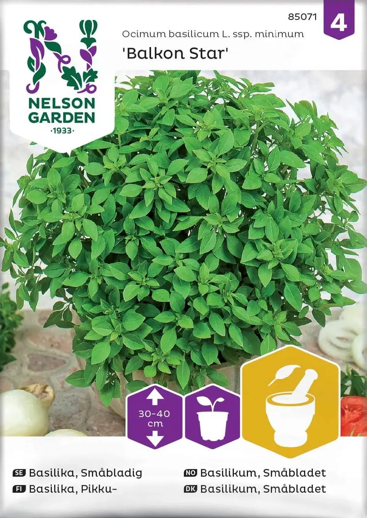 Nelson Garden Siemen Basilika, Pikku-, Balkon Star 3 Nelson Garden Siemen Basilika, Pikku-, Balkon Star