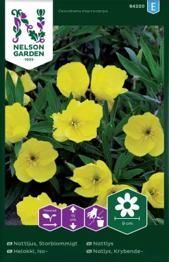 Nelson Garden Siemen Helokki, Iso-