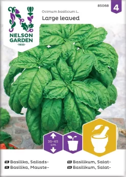 Nelson Garden Siemen Basilika, Mauste-