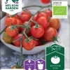 Nelson Garden Siemen Tomaatti, Zuckertraube, Luomu -Piha myymälä BQIrRuehKqkBgm8qvh hGE