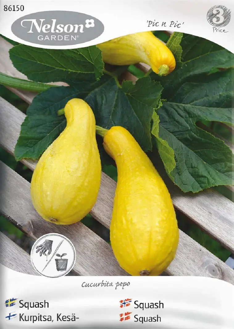 Nelson Garden Siemen Kurpitsa, Kesä-, Zucchini/Pic N Pic 3 Nelson Garden Siemen Kurpitsa, Kesä-, Zucchini/Pic N Pic