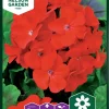 Nelson Garden Siemen Pelargoni, Inspire Scarlet F1 2 Nelson Garden Siemen Pelargoni, Inspire Scarlet F1 -Piha myymälä Bix3cPGgqANA8K xCwYmgL