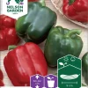 Nelson Garden Siemen Paprika, Vihannes-, California Wonder