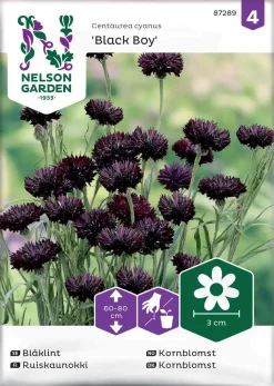 Nelson Garden Siemen Kaunokki, Ruis-, Black Boy