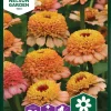 Nelson Garden Siemen Tsinnia, Iso-, Zinderella Peach -Piha myymälä CNeeVT8XquSB2ed3Ixvfx6