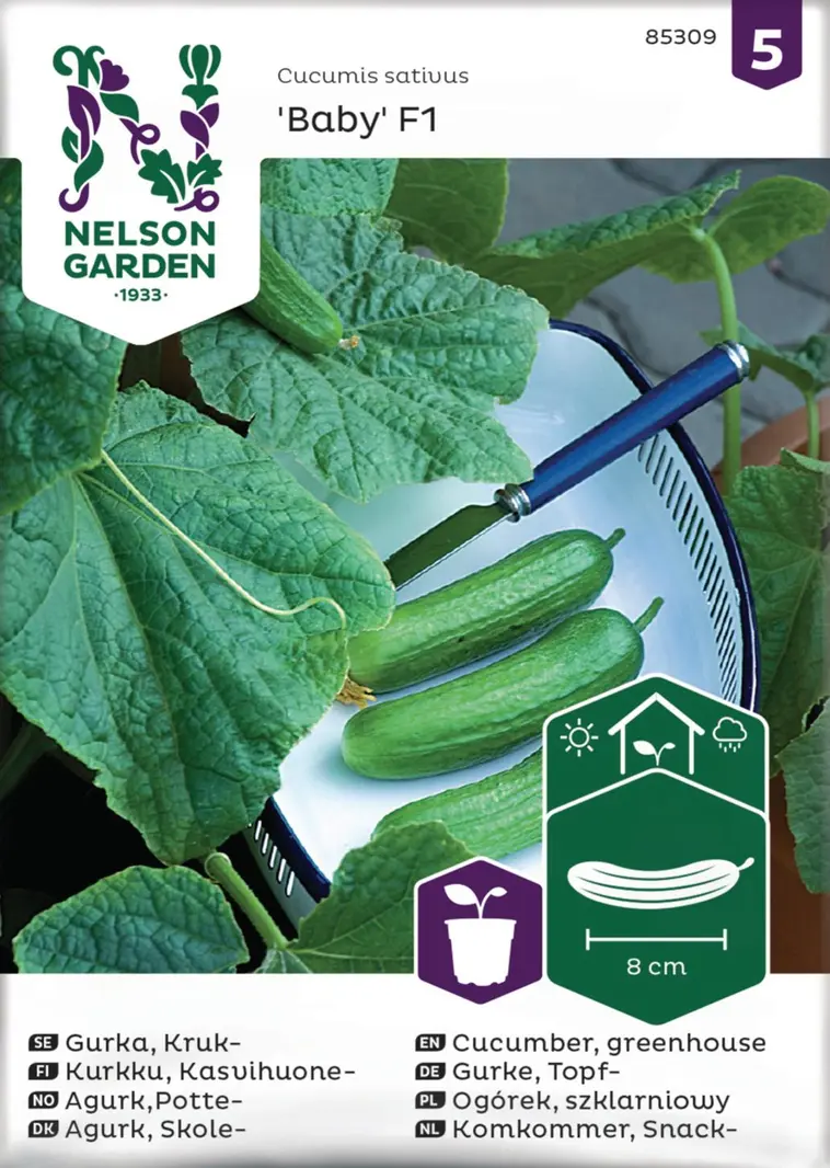 Nelson Garden Siemen Kurkku, Kasvihuone-, Baby F1 3 Nelson Garden Siemen Kurkku, Kasvihuone-, Baby F1