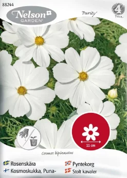Nelson Garden Siemen Kosmoskukka, Puna-, Purity