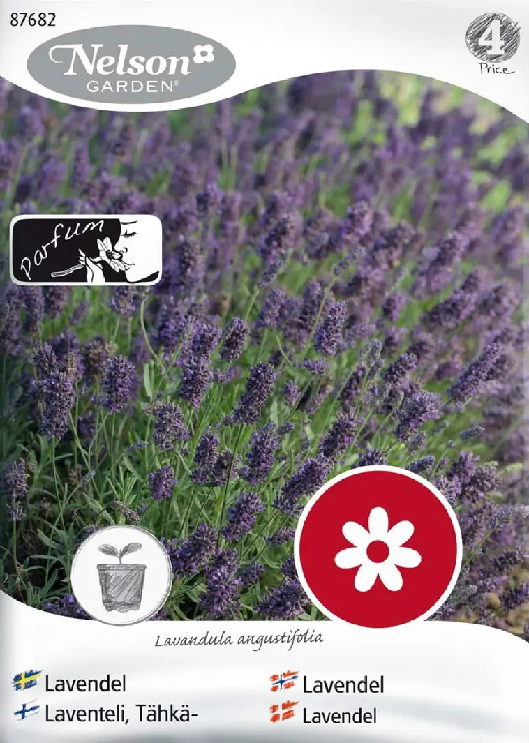 Nelson Garden Siemen Laventeli, Tähkä- 3 Nelson Garden Siemen Laventeli, Tähkä-